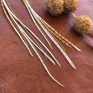 Mini Feather Earrings - Blonde Grizzly / Gold