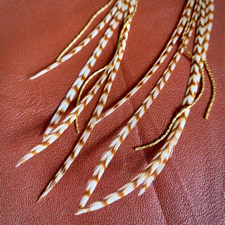Mini Feather Earrings - Ginger Grizzly / Gold