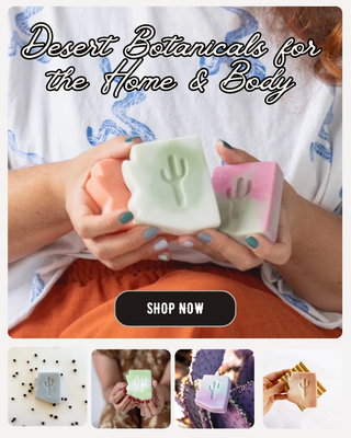 Person holding three soap bars with cactus designs, promotional text for 'Desert Botanicals for the Home & Body', and 'Shop Now' button.