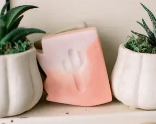Arizona Cactus Flower Soap Bar