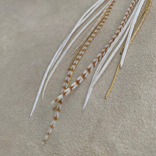Mini Feather Earrings - Blonde Grizzly / Gold